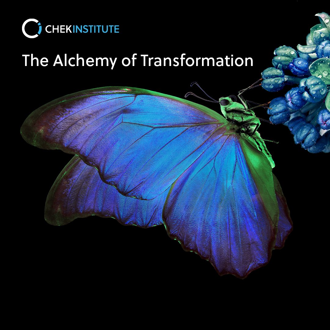 CHEK Alchemy of Transformation